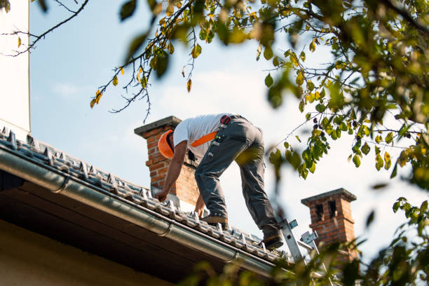 Tile Roofing Contractor in Warrensburg, MO
