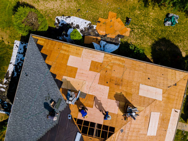 Best Commercial Roofing Services  in Warrensburg, MO